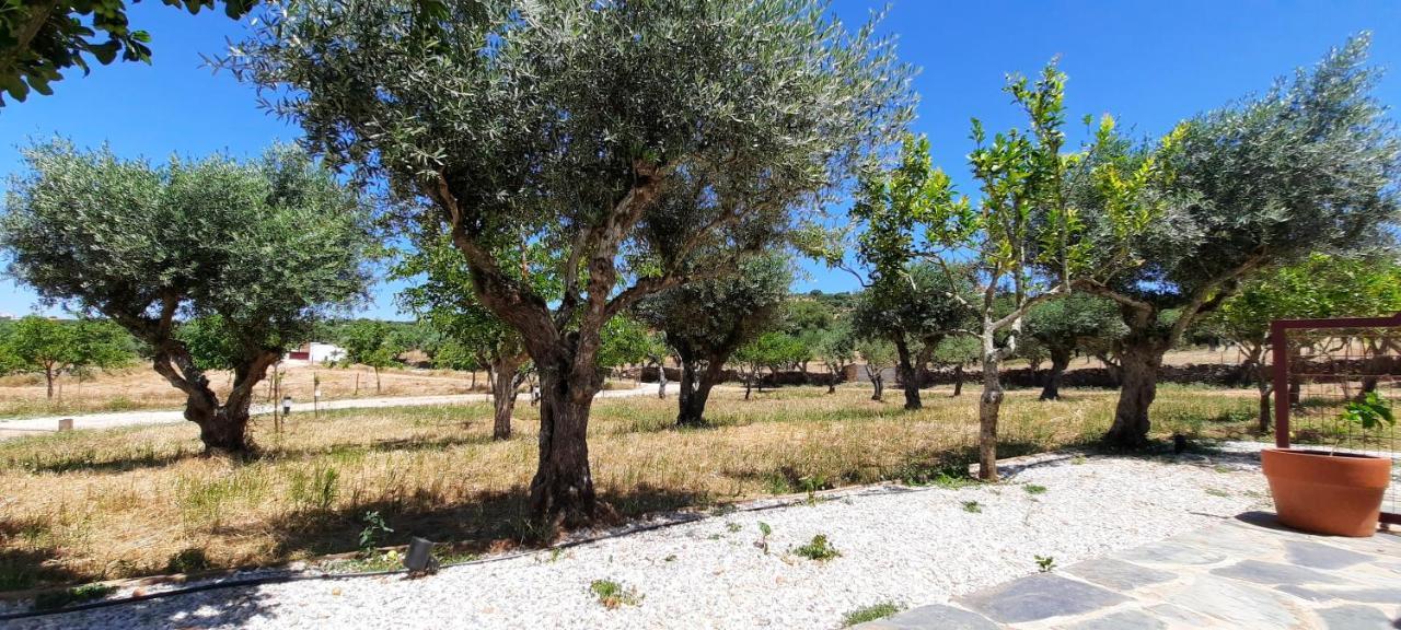 דירות אלנדרואל Quinta Da Soneca מראה חיצוני תמונה
