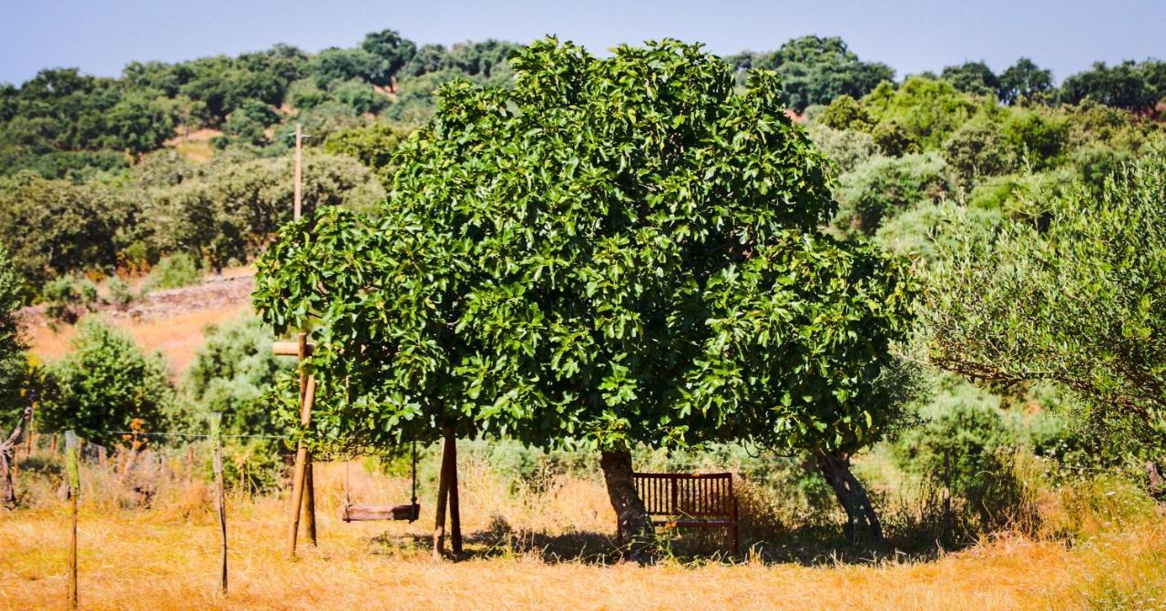 דירות אלנדרואל Quinta Da Soneca מראה חיצוני תמונה